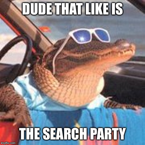 Cool Gator | DUDE THAT LIKE IS THE SEARCH PARTY | image tagged in cool gator | made w/ Imgflip meme maker