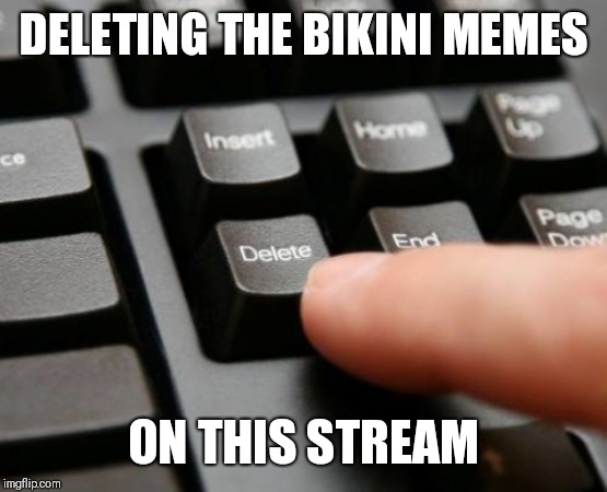 Delete | DELETING THE BIKINI MEMES ON THIS STREAM | image tagged in delete | made w/ Imgflip meme maker