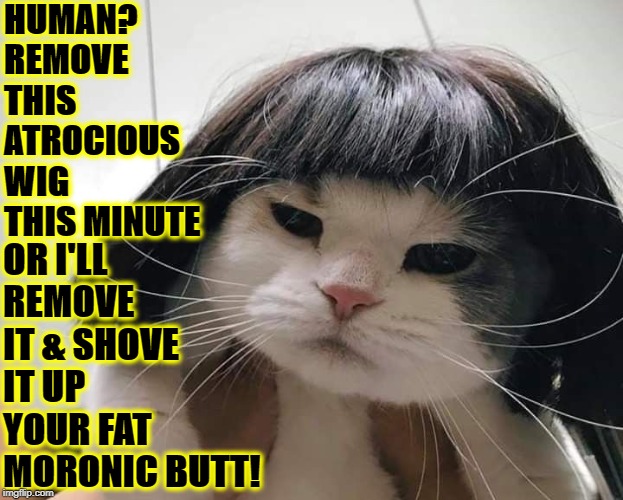 SHOVE IT | HUMAN? REMOVE THIS ATROCIOUS WIG THIS MINUTE; OR I'LL REMOVE IT & SHOVE IT UP YOUR FAT MORONIC BUTT! | image tagged in shove it | made w/ Imgflip meme maker