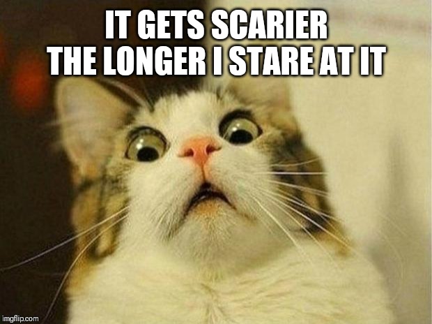 Scared Cat Meme | IT GETS SCARIER THE LONGER I STARE AT IT | image tagged in memes,scared cat | made w/ Imgflip meme maker