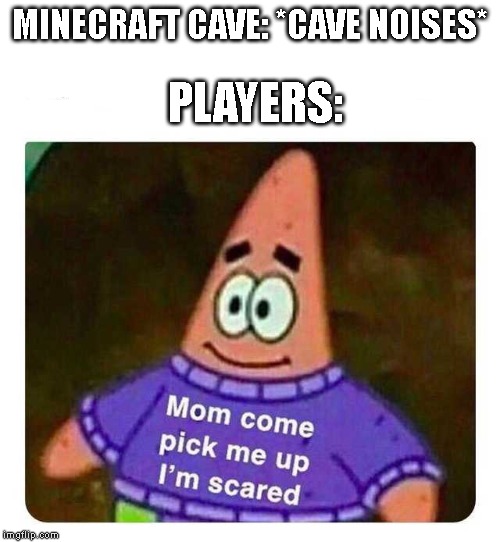 Patrick Mom come pick me up I'm scared | PLAYERS:; MINECRAFT CAVE: *CAVE NOISES* | image tagged in patrick mom come pick me up i'm scared,minecraft | made w/ Imgflip meme maker