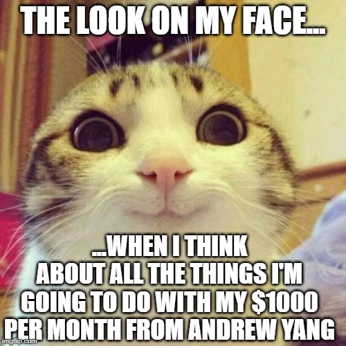 Smiling Cat Meme | THE LOOK ON MY FACE... ...WHEN I THINK ABOUT ALL THE THINGS I'M GOING TO DO WITH MY $1000 PER MONTH FROM ANDREW YANG | image tagged in memes,smiling cat | made w/ Imgflip meme maker