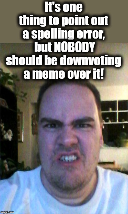 Grrr | It's one thing to point out a spelling error,  but NOBODY should be downvoting a meme over it! | image tagged in grrr | made w/ Imgflip meme maker