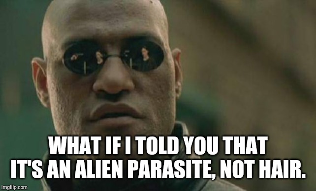 Matrix Morpheus Meme | WHAT IF I TOLD YOU THAT IT'S AN ALIEN PARASITE, NOT HAIR. | image tagged in memes,matrix morpheus | made w/ Imgflip meme maker