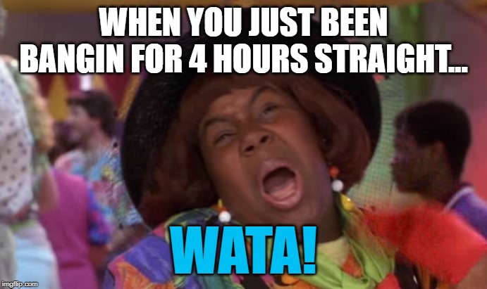 Wata! | WHEN YOU JUST BEEN BANGIN FOR 4 HOURS STRAIGHT... WATA! | image tagged in wata | made w/ Imgflip meme maker