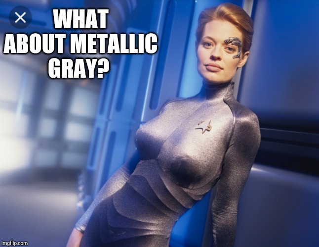 WHAT ABOUT METALLIC GRAY? | made w/ Imgflip meme maker