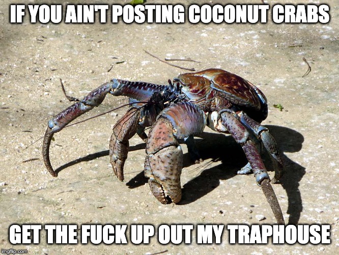 IF YOU AIN'T POSTING COCONUT CRABS; GET THE FUCK UP OUT MY TRAPHOUSE | made w/ Imgflip meme maker