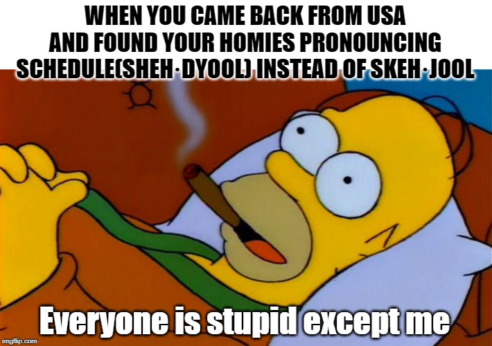 everyone is stupid except me |  WHEN YOU CAME BACK FROM USA AND FOUND YOUR HOMIES PRONOUNCING SCHEDULE(SHEH·DYOOL) INSTEAD OF SKEH·JOOL; Everyone is stupid except me | image tagged in everyone is stupid except me | made w/ Imgflip meme maker