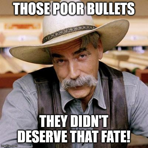 SARCASM COWBOY | THOSE POOR BULLETS THEY DIDN'T DESERVE THAT FATE! | image tagged in sarcasm cowboy | made w/ Imgflip meme maker
