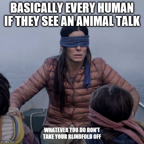 Bird Box Meme | BASICALLY EVERY HUMAN IF THEY SEE AN ANIMAL TALK; WHATEVER YOU DO DON'T TAKE YOUR BLINDFOLD OFF | image tagged in memes,bird box | made w/ Imgflip meme maker