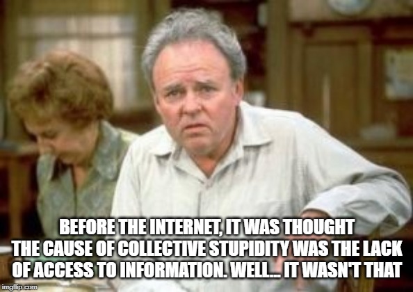 Edith Bunker | BEFORE THE INTERNET, IT WAS THOUGHT THE CAUSE OF COLLECTIVE STUPIDITY WAS THE LACK OF ACCESS TO INFORMATION. WELL... IT WASN'T THAT | image tagged in archie bunker,internet | made w/ Imgflip meme maker