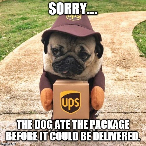 Pug package | SORRY.... THE DOG ATE THE PACKAGE BEFORE IT COULD BE DELIVERED. | image tagged in pug package | made w/ Imgflip meme maker