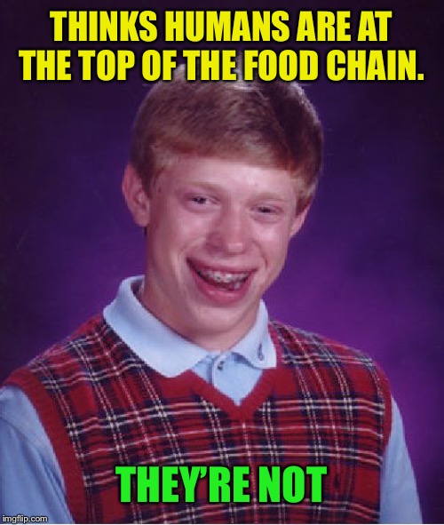 Bad Luck Brian Meme | THINKS HUMANS ARE AT THE TOP OF THE FOOD CHAIN. THEY’RE NOT | image tagged in memes,bad luck brian | made w/ Imgflip meme maker