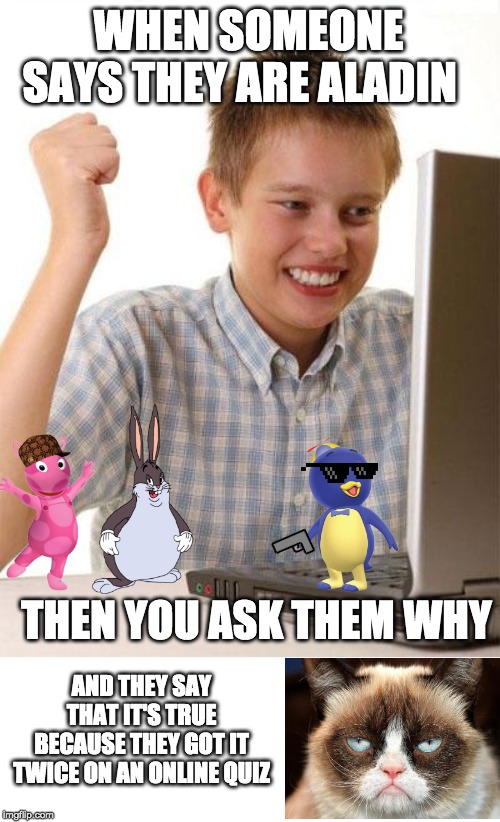 When somebody feels proud | WHEN SOMEONE SAYS THEY ARE ALADIN; THEN YOU ASK THEM WHY; AND THEY SAY THAT IT'S TRUE BECAUSE THEY GOT IT TWICE ON AN ONLINE QUIZ | image tagged in memes,first day on the internet kid,funny,online,grumpy cat | made w/ Imgflip meme maker
