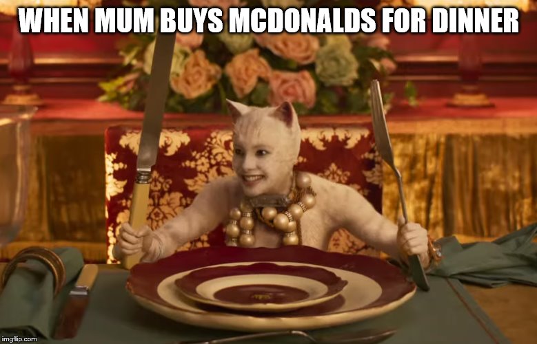 Cats Movie | WHEN MUM BUYS MCDONALDS FOR DINNER | image tagged in cats movie | made w/ Imgflip meme maker