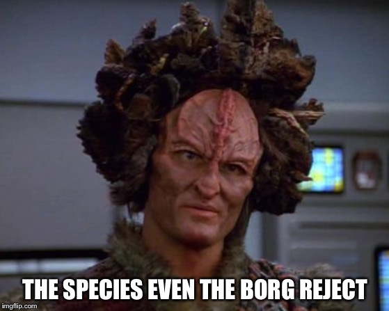 Schnook, formally known as Kazon | THE SPECIES EVEN THE BORG REJECT | image tagged in star trek | made w/ Imgflip meme maker