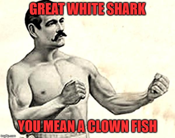 Bare Knuckle Fighter | GREAT WHITE SHARK YOU MEAN A CLOWN FISH | image tagged in bare knuckle fighter | made w/ Imgflip meme maker