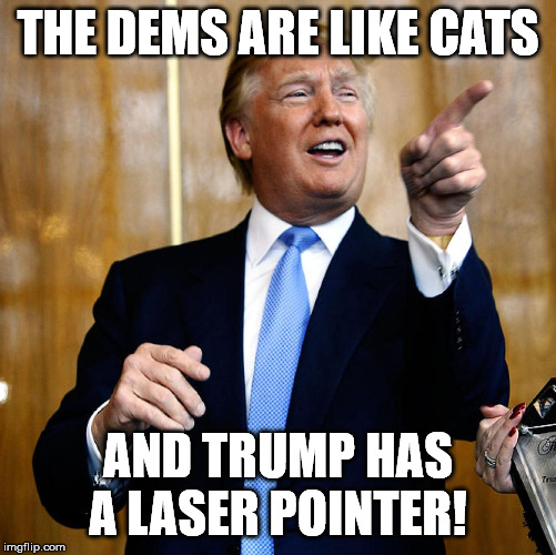 Donal Trump Birthday | THE DEMS ARE LIKE CATS; AND TRUMP HAS A LASER POINTER! | image tagged in donal trump birthday | made w/ Imgflip meme maker