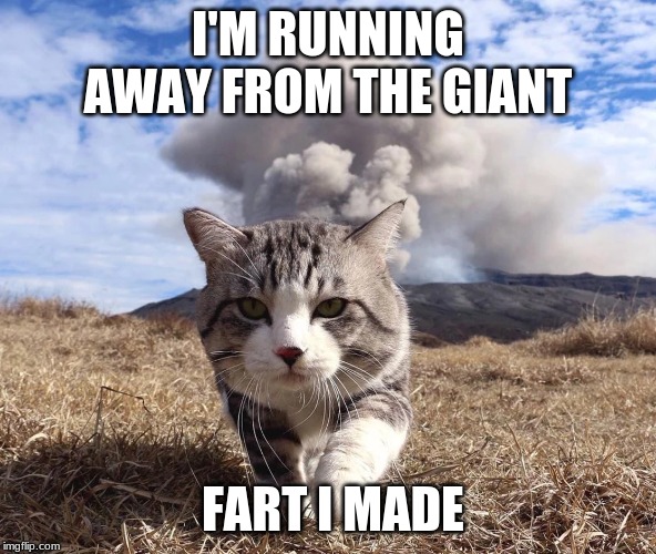 I'M RUNNING AWAY FROM THE GIANT; FART I MADE | image tagged in volcano,sarahcarellevans,cats,memes | made w/ Imgflip meme maker