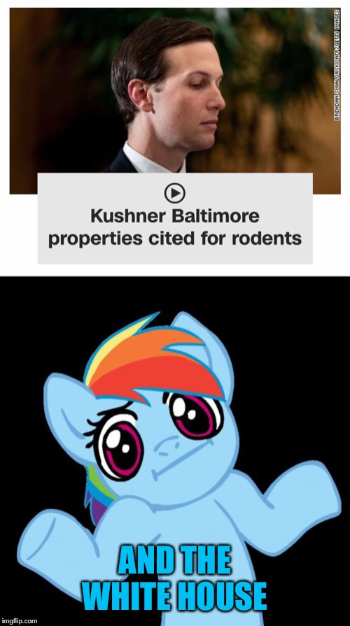 Dirty Rat? | AND THE WHITE HOUSE | image tagged in memes,pony shrugs | made w/ Imgflip meme maker