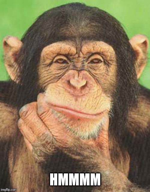 chimpanzee thinking | HMMMM | image tagged in chimpanzee thinking | made w/ Imgflip meme maker