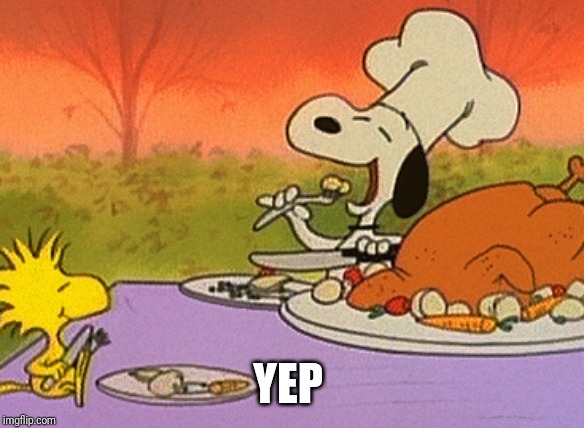 Charlie Brown thanksgiving  | YEP | image tagged in charlie brown thanksgiving | made w/ Imgflip meme maker