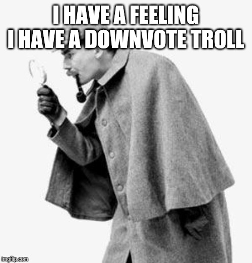 detective | I HAVE A FEELING I HAVE A DOWNVOTE TROLL | image tagged in detective | made w/ Imgflip meme maker