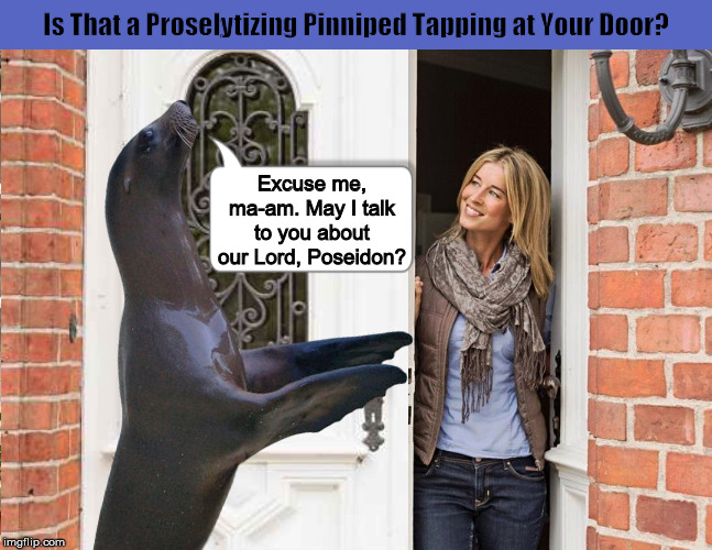 Is That a Proselytizing Pinniped Tapping at Your Front Door? | image tagged in jehovah's witness,seal,sea lion,funny,memes,religion | made w/ Imgflip meme maker