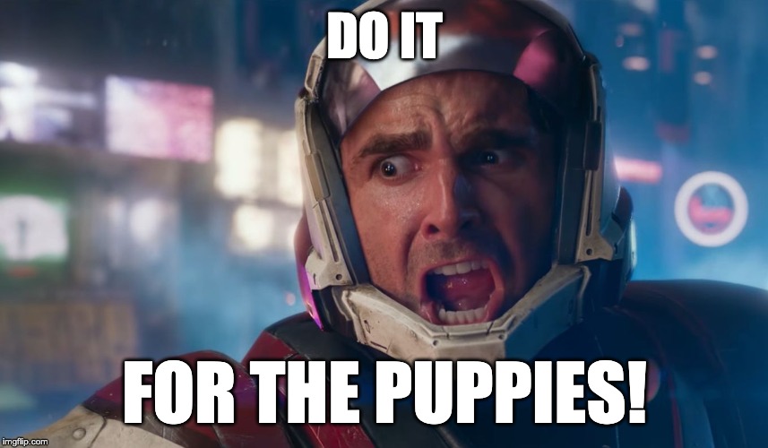 Destiny Puppies | DO IT; FOR THE PUPPIES! | image tagged in destiny,destiny 2,puppies,cayde-6 | made w/ Imgflip meme maker