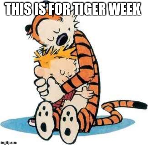 Calvin and Hobbes | THIS IS FOR TIGER WEEK | image tagged in calvin and hobbes | made w/ Imgflip meme maker