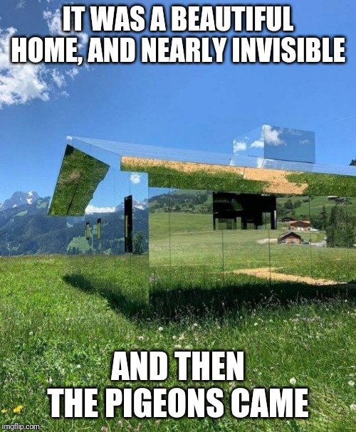 Hope he owns stock in Windex | IT WAS A BEAUTIFUL HOME, AND NEARLY INVISIBLE; AND THEN THE PIGEONS CAME | image tagged in bad idea 3047 | made w/ Imgflip meme maker