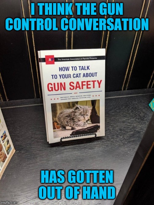 Is there a legal limit for stupid? | I THINK THE GUN CONTROL CONVERSATION; HAS GOTTEN OUT OF HAND | image tagged in breathing while stupid | made w/ Imgflip meme maker