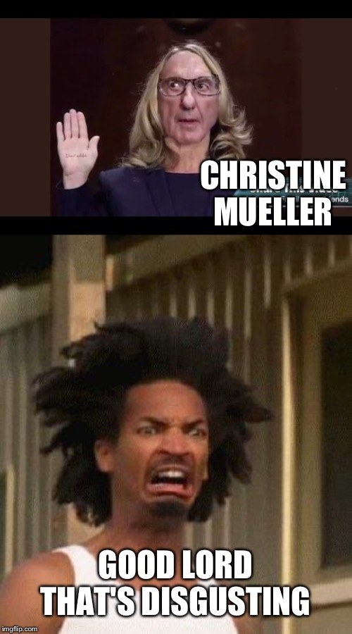 CHRISTINE MUELLER; GOOD LORD THAT'S DISGUSTING | image tagged in disgusted face | made w/ Imgflip meme maker