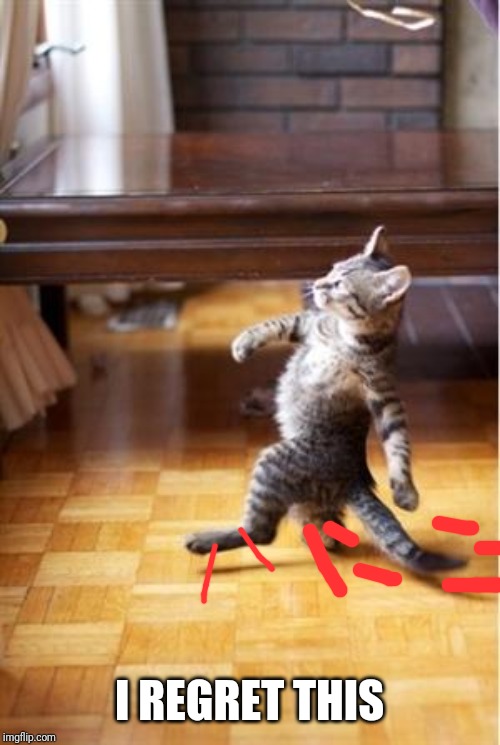 Walking Cat | I REGRET THIS | image tagged in walking cat | made w/ Imgflip meme maker