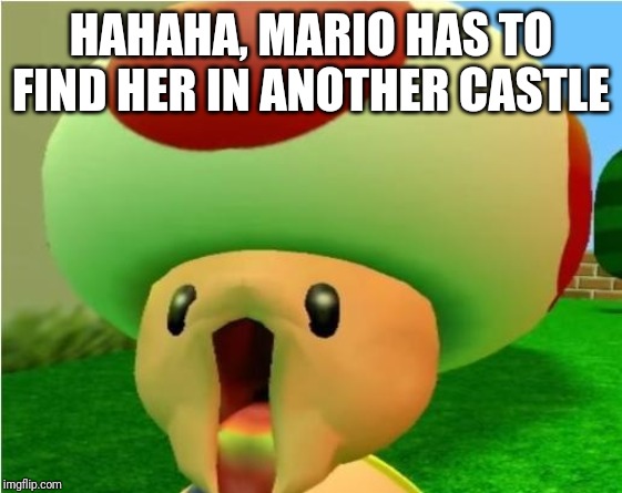 excited toad | HAHAHA, MARIO HAS TO FIND HER IN ANOTHER CASTLE | image tagged in excited toad | made w/ Imgflip meme maker