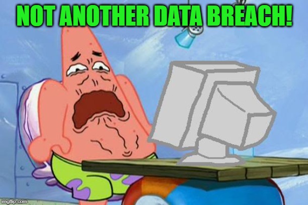 Patrick Star Internet Disgust | NOT ANOTHER DATA BREACH! | image tagged in patrick star internet disgust | made w/ Imgflip meme maker