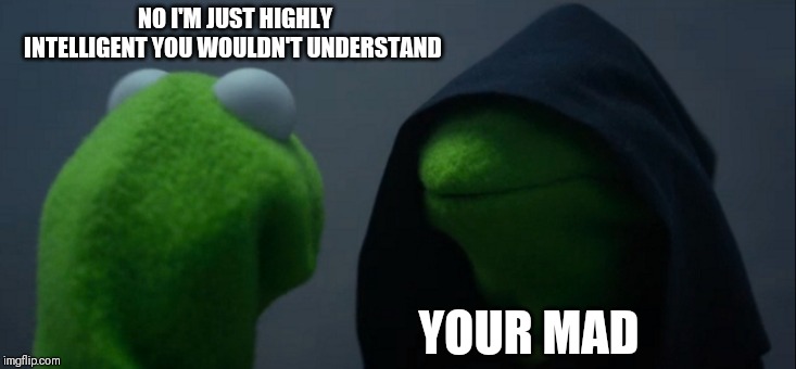 Evil Kermit Meme | NO I'M JUST HIGHLY INTELLIGENT YOU WOULDN'T UNDERSTAND; YOUR MAD | image tagged in memes,evil kermit | made w/ Imgflip meme maker