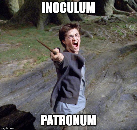 Harry potter | INOCULUM; PATRONUM | image tagged in harry potter | made w/ Imgflip meme maker