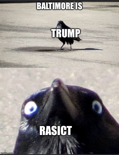 insanity crow | BALTIMORE IS; TRUMP; RASICT | image tagged in insanity crow,donald trump,baltimore,racist | made w/ Imgflip meme maker