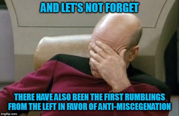 Captain Picard Facepalm Meme | AND LET'S NOT FORGET THERE HAVE ALSO BEEN THE FIRST RUMBLINGS FROM THE LEFT IN FAVOR OF ANTI-MISCEGENATION | image tagged in memes,captain picard facepalm | made w/ Imgflip meme maker