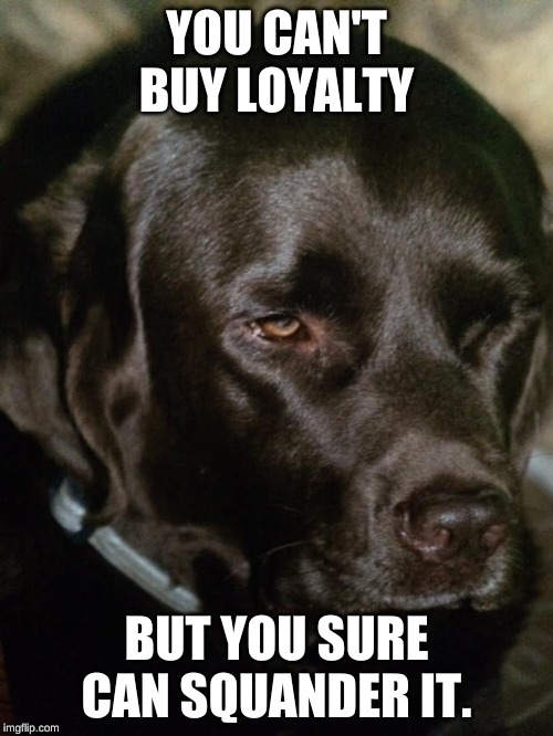 Loyalty Squandered | YOU CAN'T BUY LOYALTY; BUT YOU SURE CAN SQUANDER IT. | image tagged in loyalty | made w/ Imgflip meme maker