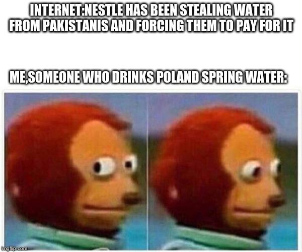 If you didn't know,Poland Spring is owned by nestle | INTERNET:NESTLE HAS BEEN STEALING WATER FROM PAKISTANIS AND FORCING THEM TO PAY FOR IT; ME,SOMEONE WHO DRINKS POLAND SPRING WATER: | image tagged in monkey puppet | made w/ Imgflip meme maker