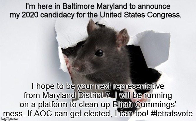 Baltimore Rat | I'm here in Baltimore Maryland to announce my 2020 candidacy for the United States Congress. I hope to be your next representative from Maryland District 7. I will be running on a platform to clean up Elijah Cummings' mess. If AOC can get elected, I can too! #letratsvote | image tagged in elijah cummings,rats,congress | made w/ Imgflip meme maker