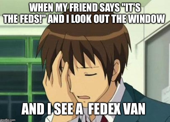 Kyon Face Palm | WHEN MY FRIEND SAYS "IT'S THE FEDS!" AND I LOOK OUT THE WINDOW; AND I SEE A  FEDEX VAN | image tagged in memes,kyon face palm | made w/ Imgflip meme maker