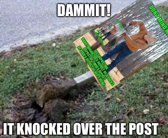 One too many reposts |  DAMMIT! IT KNOCKED OVER THE POST | image tagged in please repost,repost,too,too damn high,nixieknox,neo | made w/ Imgflip meme maker