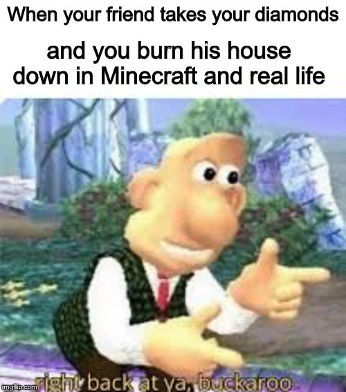 right back at ya, buckaroo | When your friend takes your diamonds; and you burn his house down in Minecraft and real life | image tagged in right back at ya buckaroo | made w/ Imgflip meme maker