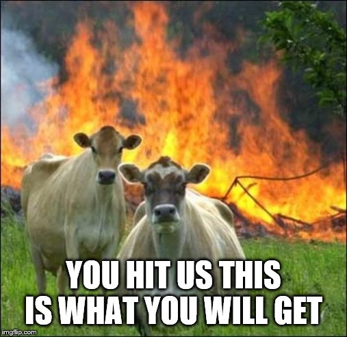 Evil Cows | YOU HIT US THIS IS WHAT YOU WILL GET | image tagged in memes,evil cows | made w/ Imgflip meme maker