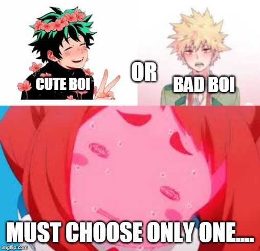  OR; BAD BOI; CUTE BOI; MUST CHOOSE ONLY ONE.... | made w/ Imgflip meme maker
