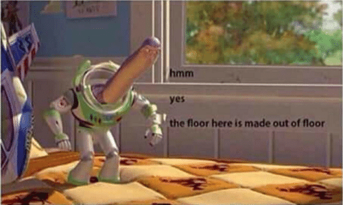 hmm yes the floor here is made out of floor Blank Meme Template