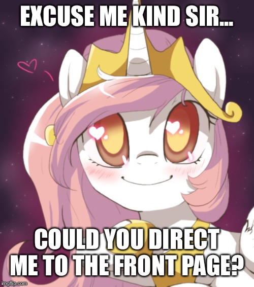 Hopefully no neighsayers in the stable... | EXCUSE ME KIND SIR... COULD YOU DIRECT ME TO THE FRONT PAGE? | image tagged in memes,my little pony,mlp | made w/ Imgflip meme maker